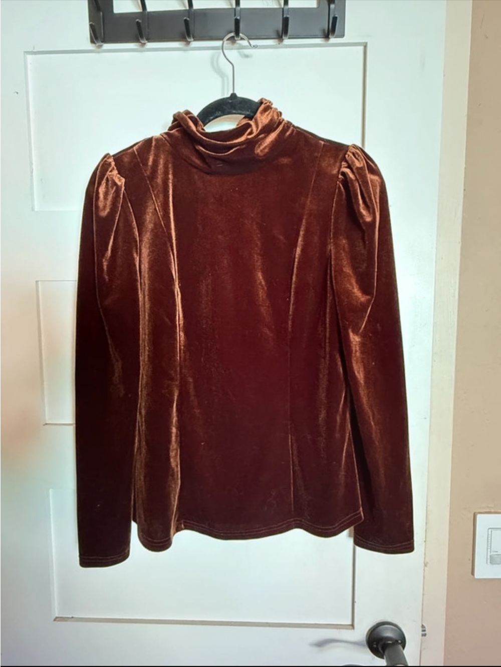 Women's Brown Velvet Mock Neck Blouse